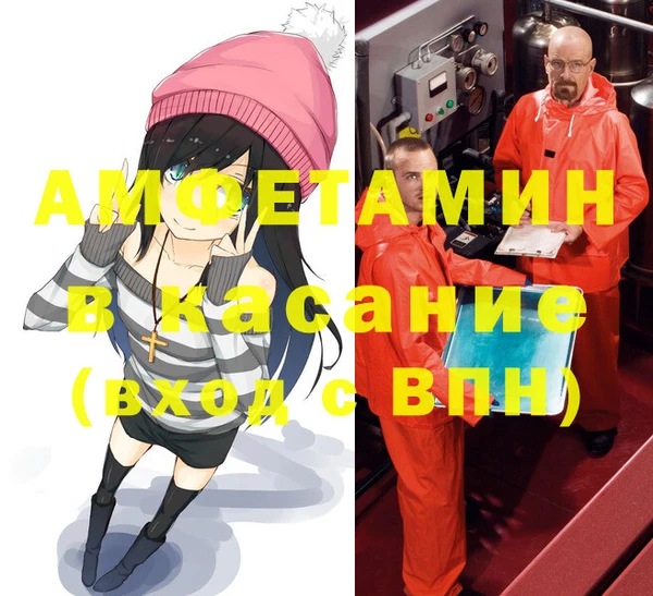 шишки Арсеньев