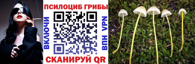 Псилоцибиновые грибы ЛСД как найти закладки Карабаш